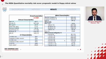The MIDA Quantitative mortality risk score: prognostic model in floppy mitral valves