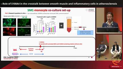 Presentation thumbnail