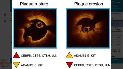 Presentation thumbnail