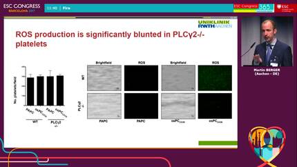 Presentation thumbnail