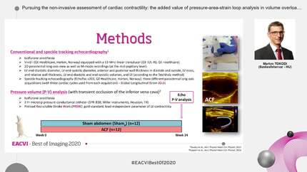 Pursuing the non-invasive assessment of cardiac contractility: the added value of pressure-area-strain loop analysis in volume overload-induced heart failure