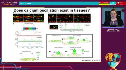 Presentation thumbnail