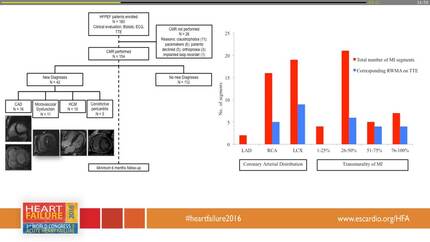 Utility of cardiovascular magnetic resonance imaging in heart failure with preserved ejection fraction for diagnostic and prognostic evaluation