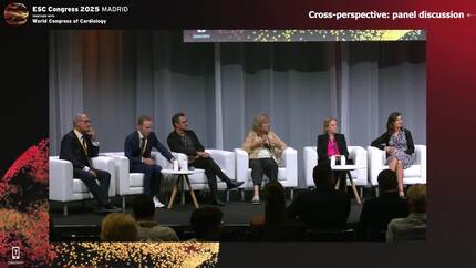Cross-perspective: panel discussion