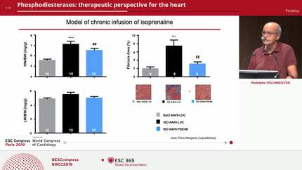 Phosphodiesterases: therapeutic perspective for the heart