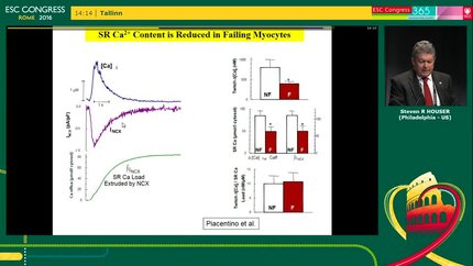 The cellular basis of heart failure: targets for therapy