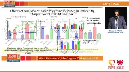 Presentation thumbnail