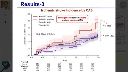 Stroke risk stratification by coronary artery disease extent in patients with atrial fibrillation