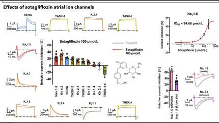 Combined class I and class III antiarrhythmic effects of sotagliflozin - insights from heterologous  expressions systems and atrial cardiomyocytes