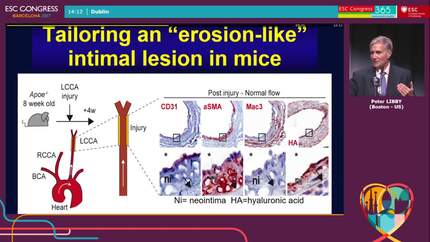 Presentation thumbnail