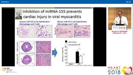Presentation thumbnail
