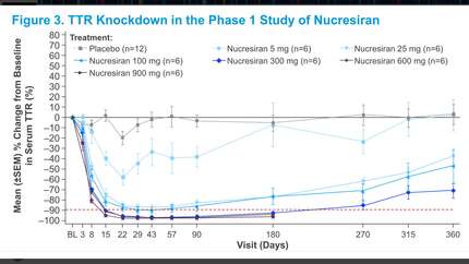 Presentation thumbnail