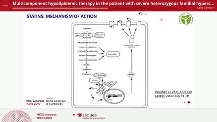 Multicomponent hypolipidemic therapy in the patient with severe heterozygous familial hypercholesterolemia.