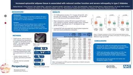 Increased epicardial adipose tissue is associated with reduced cardiac function and severe retinopathy in type 2 diabetes 