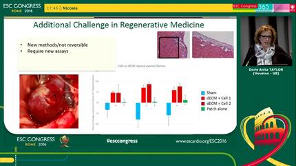 From cardiac regeneration biology to health. Are we really learning from animal models?
