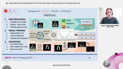 Automated echocardiographic left ventricular strain measurements using deep learning