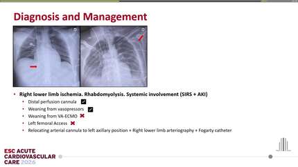 Presentation thumbnail