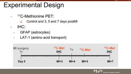 Presentation thumbnail