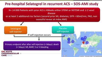 Presentation thumbnail