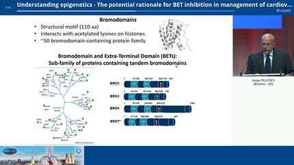 Understanding epigenetics - The potential rationale for BET inhibition in management of cardiovascular disease.