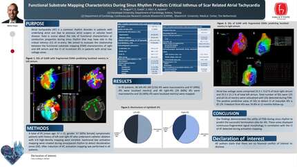 Presentation thumbnail