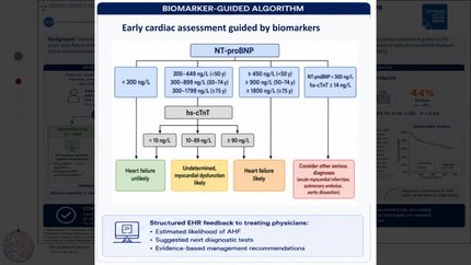 Biomarker-guided early heart failure assessment in hospitalized patients with tachypnea: results from the Akershus Cardiac Examination 4 Study