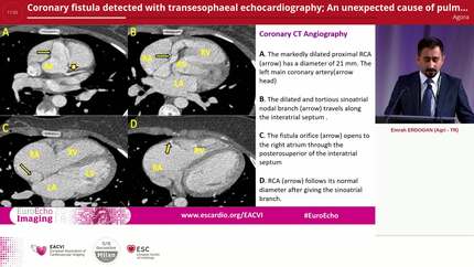 Presentation thumbnail