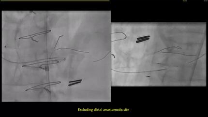 Presentation thumbnail