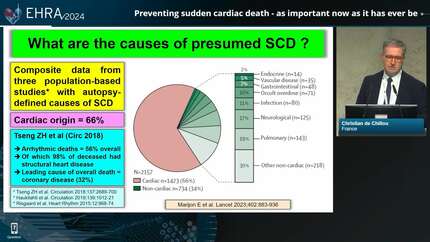 A journey in sudden cardiac death therapy: finetuning established therapies and new innovations