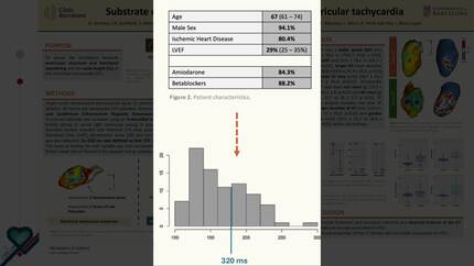 Substrate determinants of slow and fast ventricular tachycardia