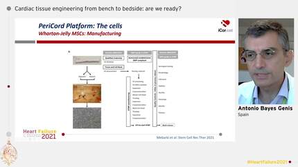 Cardiac tissue engineering from bench to bedside: are we ready?