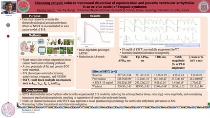 Shensong yangxin reduces transmural dispersion of repolarisation and prevents ventricular arrhythmias in an ex-vivo model of Brugada syndrome