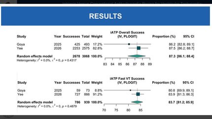 Presentation thumbnail