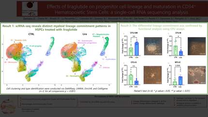 Effects of liraglutide on progenitor cell lineage and maturation in cd34+ hematopoietic stem cells: a single-cell rna sequencing analysis 