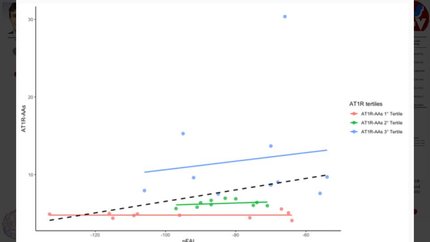 Impact of functional autoantibodies against angiotensin-II receptor type 1 in atherosclerosis