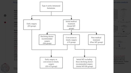 Surgery compared with medical treatment in patients with type A aortic intramural hematoma: a systematic review and meta-analysis