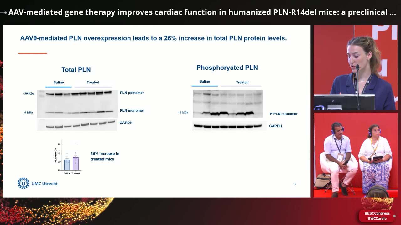 Molecular and immune mechanisms in cardiomyopathy