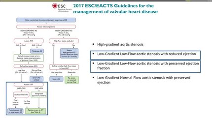 Clinical and echocardiography