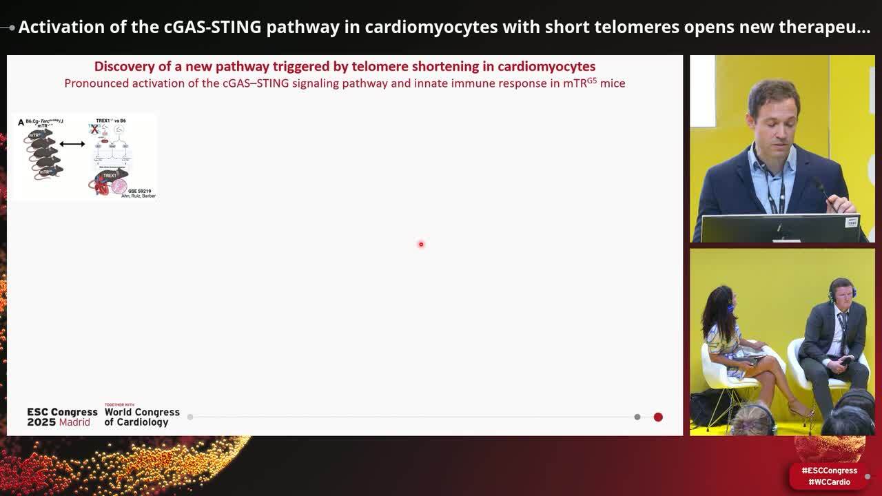 Molecular mechanisms of cardiovascular ageing: from senescence to regeneration