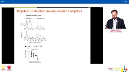 Iron deficiency impairs cardiac adaptation to acute and chronic stress.