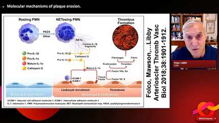 Presentation thumbnail