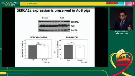 Role of calcium signalling in diastolic dysfunction