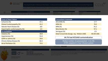 Presentation thumbnail