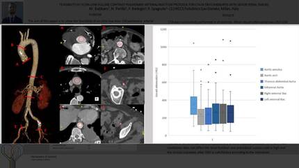 Feasibility of ultra-low volume contrast pulmonary arterial injection protocol for CTA in TAVI candidates with severe renal failure