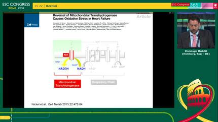 Presentation thumbnail