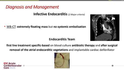 Presentation thumbnail
