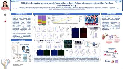 NCOR1 orchestrates macrophage inflammation in heart failure with preserved ejection fraction: a translational study
