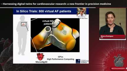Translating AI tools for cardiovascular applications into practice 