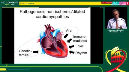 Presentation thumbnail