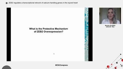 Presentation thumbnail